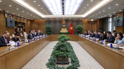 Vietnam und Großbritannien streben an, den bilateralen Handel bis 2026 auf 10 Milliarden US-Dollar zu steigern.