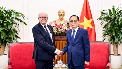 Le Hoai Trung külügyminiszter fogadja a svéd külügyminisztérium államtitkárát.