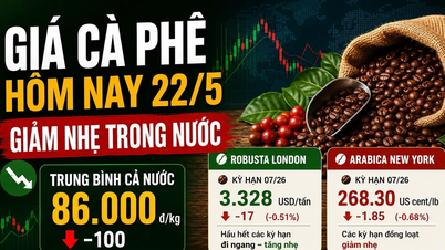 Koffieprijzen vandaag, 22 mei: Robusta-prijzen schommelen, Arabica-prijzen blijven dalen.