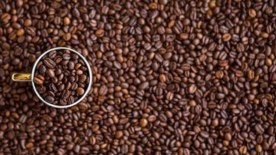 Prix ​​du café aujourd'hui, 22 mai : à la hausse en raison des inquiétudes liées à El Niño.