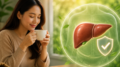 3 ประโยชน์ต่อตับจากการดื่มกาแฟในปริมาณที่พอเหมาะทุกวัน