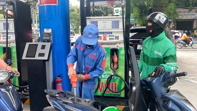 Welchen Rat gibt das Ministerium für Industrie und Handel Personen, die E10-Bioethanolkraftstoff für Autos und Motorräder verwenden?