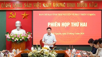 Thai Nguyen accorde une grande importance au développement de l'industrie culturelle.