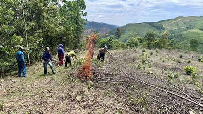 Preserving forests during the hot season.