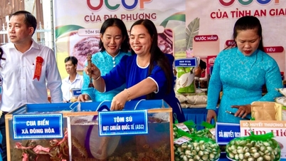An Giang eyaletinin Dong Hoa beldesindeki karides-pirinç yetiştirme bölgesinden elde edilen karidesler, uluslararası ASC standartlarına ulaşmıştır.