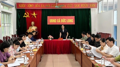 Departemen Pertanian dan Lingkungan Hidup bekerja sama dengan Komite Rakyat komune Dong Khe dan Duc Long dalam pengelolaan negara di bidang pertanian dan lingkungan hidup - Surat Kabar Online Cao Bang