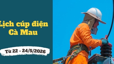 Ca Mau Elektrik Kesintisi Takvimi (21-24 Mayıs 2026): Bu sıcak günlerde elektrik kesintisi yaşayan bölgelerin sayısı artmaya devam ediyor.