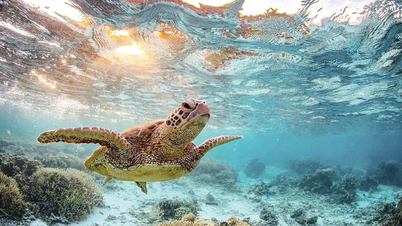Improving the effectiveness of state management in nature conservation and biodiversity.