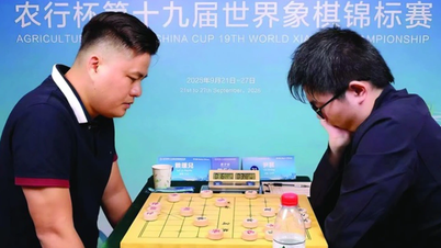 Lai Ly Huynh recibe buenas noticias en el torneo de ajedrez chino, calificado de "extremadamente competitivo".