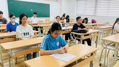 Teachers share tips for "last-minute" preparation before the 10th grade exam.