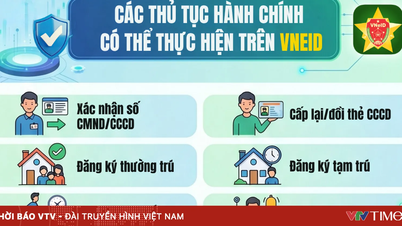 [Infographic] What procedures can citizens perform using VNeID?