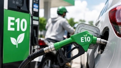 Belangrijke opmerkingen voor gebruikers die overstappen van benzine A92 en A95 naar E10.