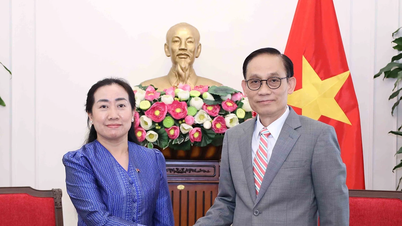 Foreign Minister Le Hoai Trung received Cambodian Ambassador Touch Sopharath.