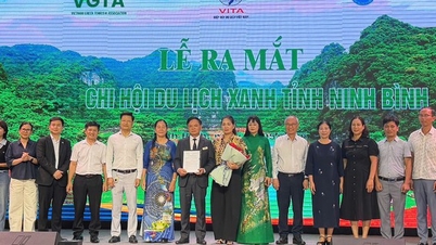 Ninh Binh berkomitmen untuk mengejar strategi pengembangan pariwisata berkelanjutan yang terkait dengan pelestarian warisan budaya.