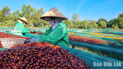 El sector de la agricultura y el medio ambiente aspira a una tasa de crecimiento del 5,86% en 2026.