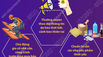 ទិវាប្រពៃណីវៀតណាមសម្រាប់ការបង្ការ និងគ្រប់គ្រងគ្រោះមហន្តរាយ៖ ជំនាញឆ្លើយតបនឹងគ្រោះមហន្តរាយ