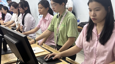 ເປັນຫຍັງການມີຄວາມຊຳນານດ້ານພາສາອັງກິດຈຶ່ງຈຳເປັນເພື່ອໃຫ້ເກັ່ງໃນຂະແໜງວິຊາຊີບ?