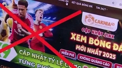 Khởi tố 23 đối tượng trong đường dây xâm phạm bản quyền bóng đá quy mô lớn