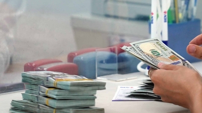 نرخ ارز دلار آمریکا امروز، ۲۲ مه ۲۰۲۶: دلار آمریکا و سایر ارزهای خارجی همگی کاهش یافتند.