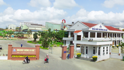 บริษัท Quang Ngai Sugar วางแผนที่จะขยายธุรกิจเข้าสู่ภาคการผลิตเอทานอลเชื้อเพลิง