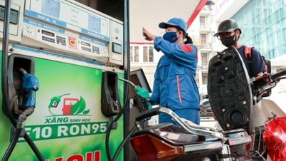 Industri- och handelsministeriet förklarar varför konsumenterna fortfarande är tveksamma till biobränslen.