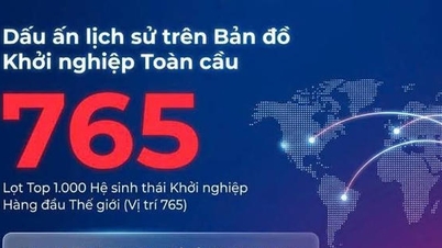 های فونگ برای اولین بار وارد ۱۰۰۰ اکوسیستم استارتاپی برتر جهان می‌شود.