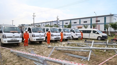 EVNCPC תבצע תרגיל מניעת אסונות וחיפוש והצלה בשנת 2026