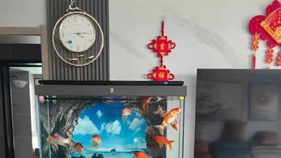 Watervallen en visvijvers in feng shui: 4 manieren om ze op de juiste plek te plaatsen om het waterelement te activeren.