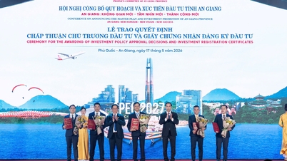 Officially given the "green light" for a large-scale cement complex in the Mekong Delta.