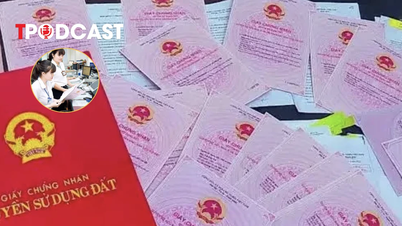 Hanoi áttekinti az összes ingatlanpiaci kereskedési terület működését.