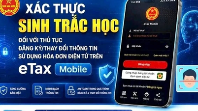Hướng dẫn các bước thực hiện xác thực sinh trắc học trên Etax Mobile
