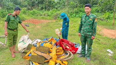 Tăng cường truy quét "vàng tặc" ở A Lưới