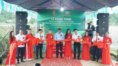A Tien Phong Plastic Company inaugura a Ponte do Amor de Binh, número 119: uma ponte que liga duas margens e proporciona uma passagem segura para os moradores afetados pelas enchentes.