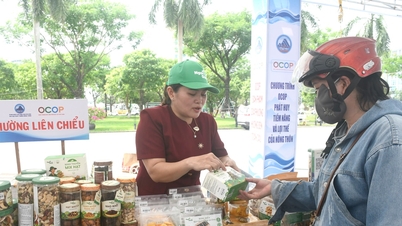 OCOP Da Nang integreert meerdere waarden.