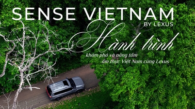 SENSE VIETNAM 2026 – podróż, podczas której odkryjesz i udoskonalisz kuchnię wietnamską z Lexusem.