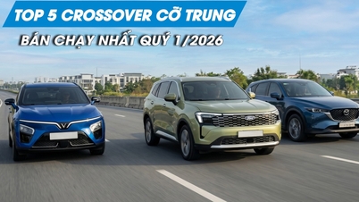 Segmen crossover ukuran menengah pada Q1 2026: VinFast VF 7 melampaui Ford Territory.
