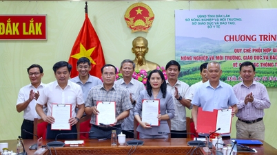 Đắk Lắk: Ký kết Quy chế phối hợp và chia sẻ thông tin thống kê giữa các sở ngành với thống kê tỉnh Đắk Lắk