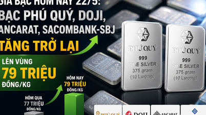 Preços da prata hoje, 22 de maio: Os preços da prata em Phu Quy, Doji, Ancarat e Sacombank-SBJ voltam a subir.