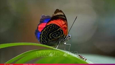 Ziua Internațională a Biodiversității: Țesând împreună „rețeaua vieții”.