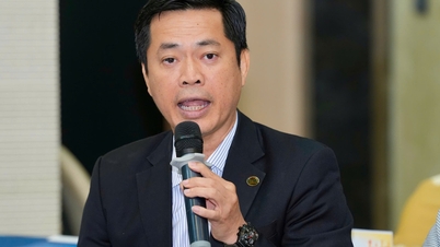 Société Binh Minh Plastic : La lutte contre la contrefaçon est épuisante pour les entreprises.