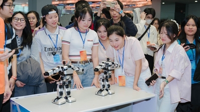 Az FPT Egyetem robotika és mesterséges intelligencia programot indít, hogy kihasználja a piac magas fizetéseit (több száz millió VND).