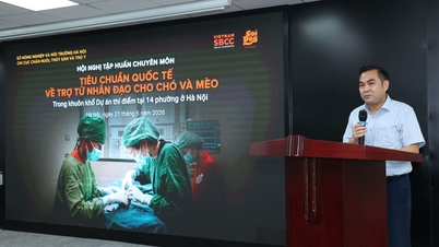Hanoi egy veszettség megelőzésére és ellenőrzésére szolgáló modellt valósít meg.