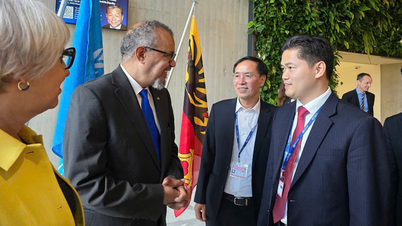 Sesi Perhimpunan Kesihatan Sedunia ke-79: Vietnam menggalakkan kerjasama dalam pencegahan penyakit.