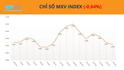 De grondstoffenmarkt vertoont een gemengd beeld, waarbij de MXV-index rond de 2900 punten schommelt.