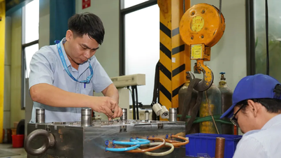 Phát triển bền vững là “Giấy thông hành” giúp doanh nghiệp đi xa