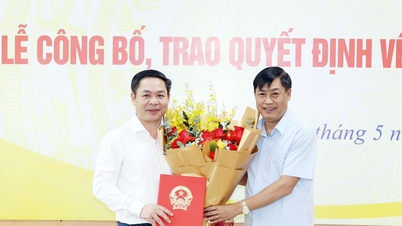 Ủy ban Công tác đại biểu trao quyết định về công tác cán bộ