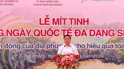 Menggalakkan peranan komuniti dalam pemuliharaan biodiversiti.