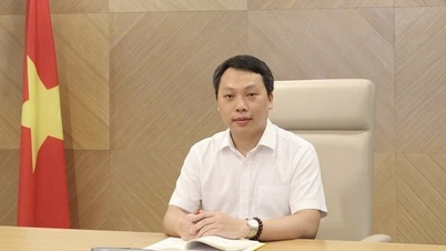 Mr. Nguyen Huy Dung has been appointed as Deputy Minister of Culture, Sports and Tourism.