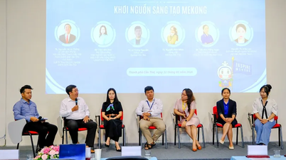 Unleashing youth creativity and promoting sustainable development in the Mekong Delta.