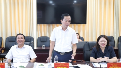 Da Nang sedang membangunkan dasar untuk menyokong lebih 12,000 kanak-kanak dan 472 prasekolah di zon perindustrian.